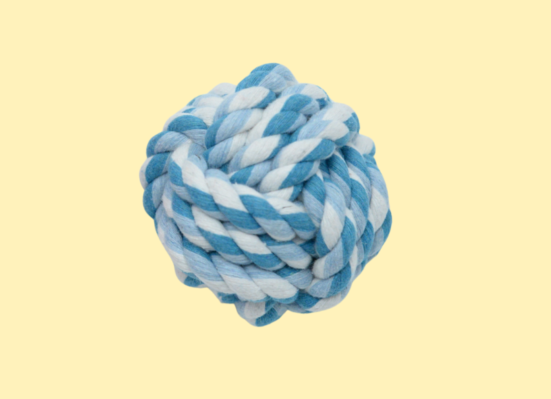 Een afbeelding van een blauwe funball in de webshop van Sniffins.com