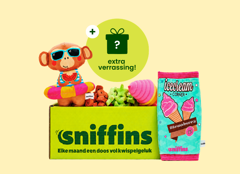 Sniffins Box Sunny Summer