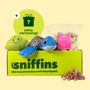 Sniffins Box Dive into the ocean | 1+1 GRATIS