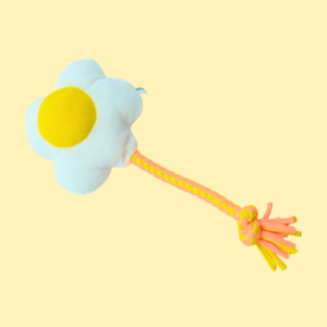 Eggcited Egg