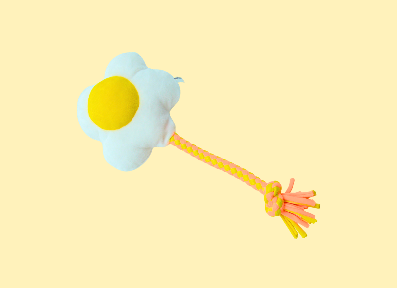 Eggcited Egg