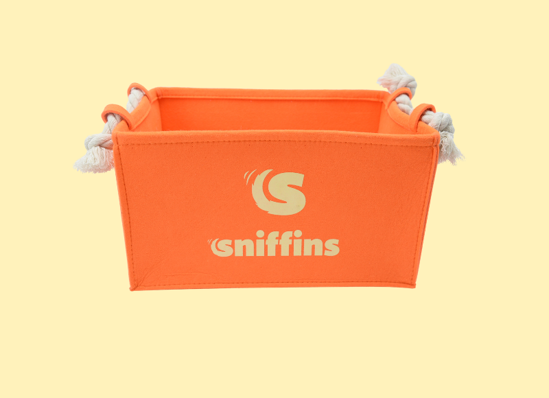 Sniffins Toy Box