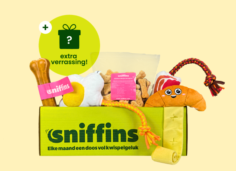 Sniffins Box Breakfast Buddies