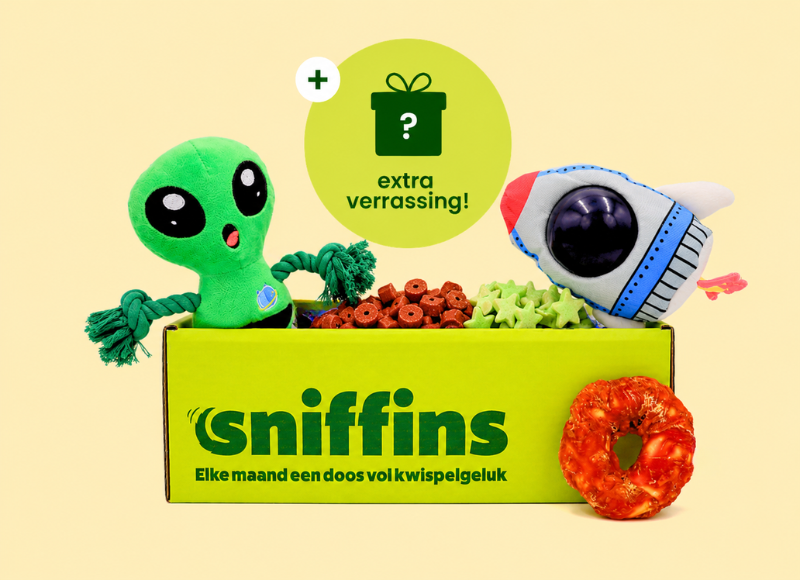 Sniffins Box Barking Beyond the Stars